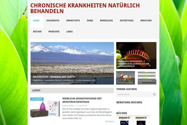 Point theme site design template sample