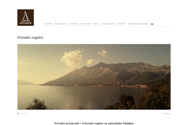 Mono theme site design template sample