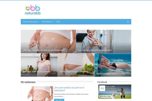 Sahifa Child theme site design template sample