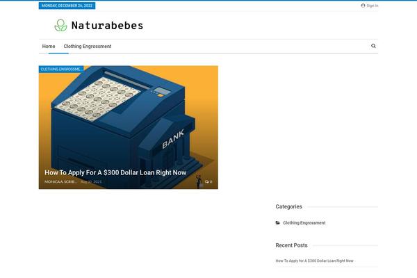 Site using ACF Recent Posts Widget plugin