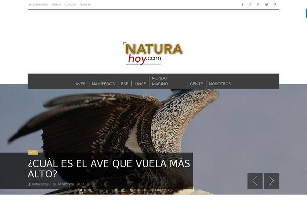 NewsMag theme site design template sample