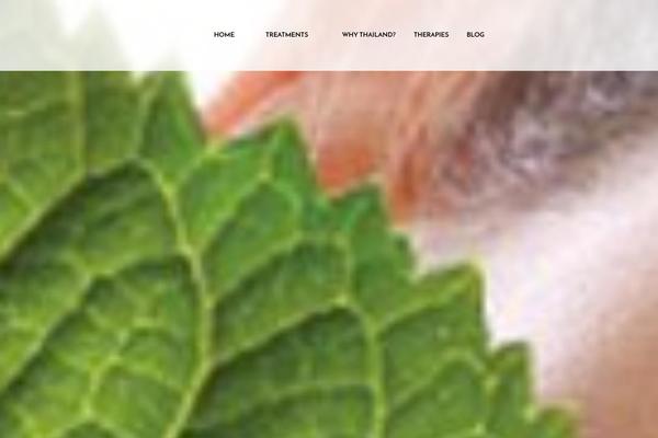 Bridge theme site design template sample