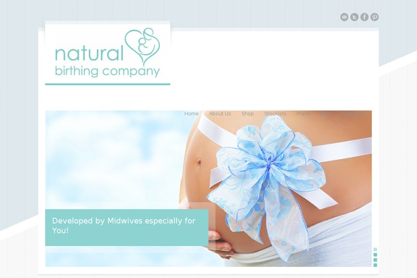 RT-Theme 17 theme site design template sample