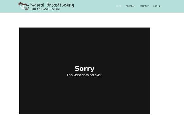 Remobile Pro theme site design template sample