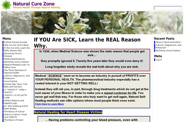 naturalcurezone.com site used Atahualpa377
