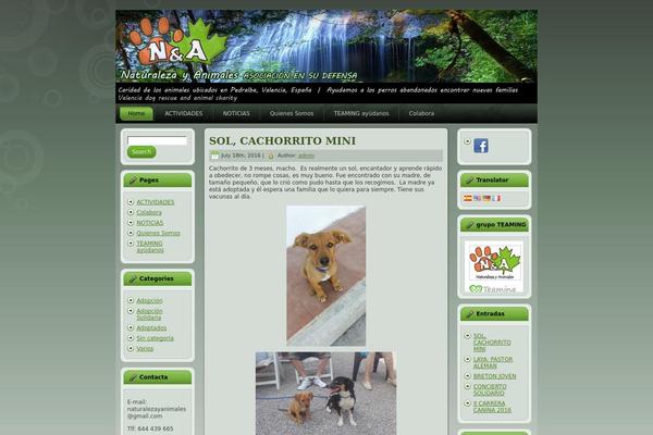 Site using Global Translator plugin