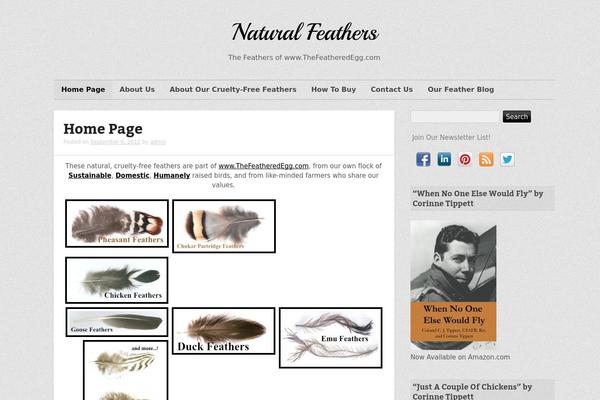 Rundown theme site design template sample