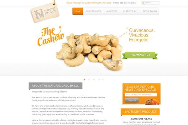 Ng theme site design template sample