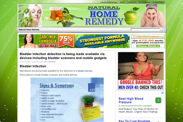 Socrates theme site design template sample