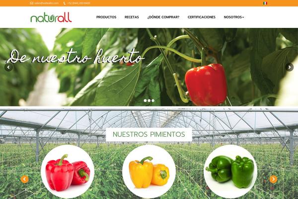 Site using WPGlobus - Multilingual Everything! plugin