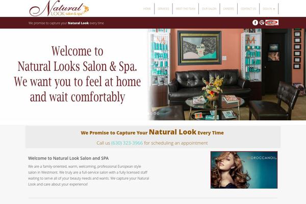 Bapia theme site design template sample