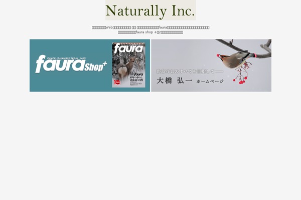 Site using Easy FancyBox plugin