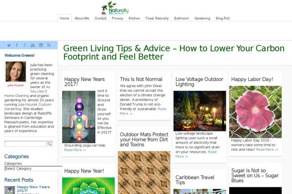 C5 theme site design template sample