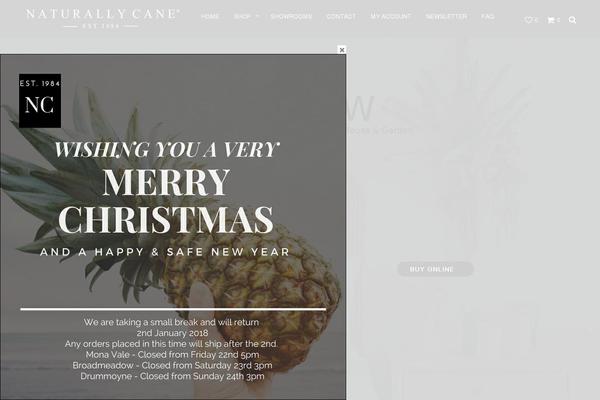 Shopkeeper • Multipurpose WooCommerce / WordPress eCommerce Website Builder for any Business theme site design template sample