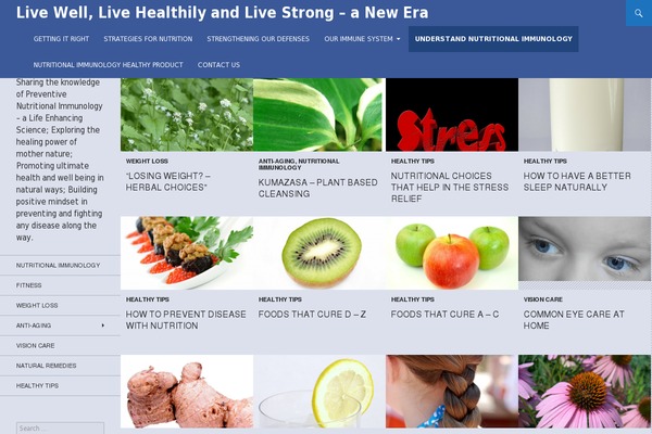 Site using Google Language Translator plugin