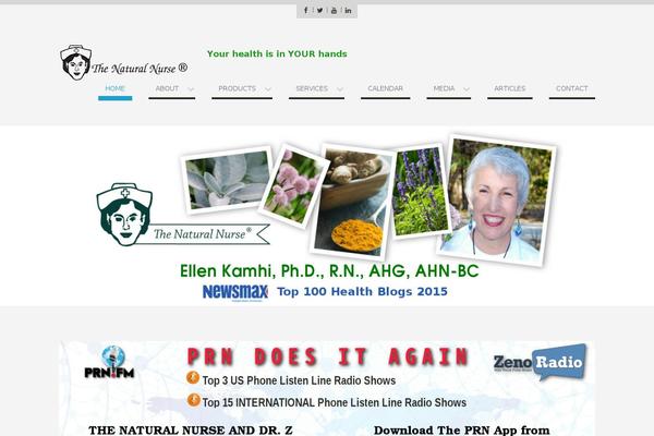 WEN Business theme site design template sample