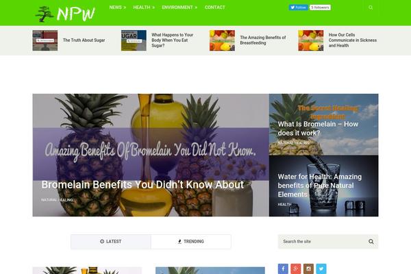 NewsOnline theme site design template sample