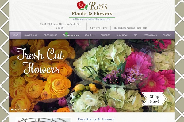 Site using Genesis Footer Widgets plugin