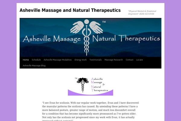 Site using Google Custom Search plugin