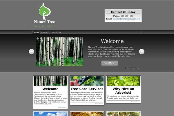 Thesis 1.8 theme site design template sample