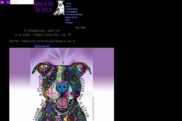 Avada Child Theme theme site design template sample