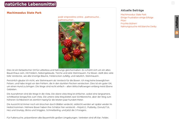 FirmaSite theme site design template sample