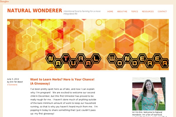 Site using Footer Putter plugin