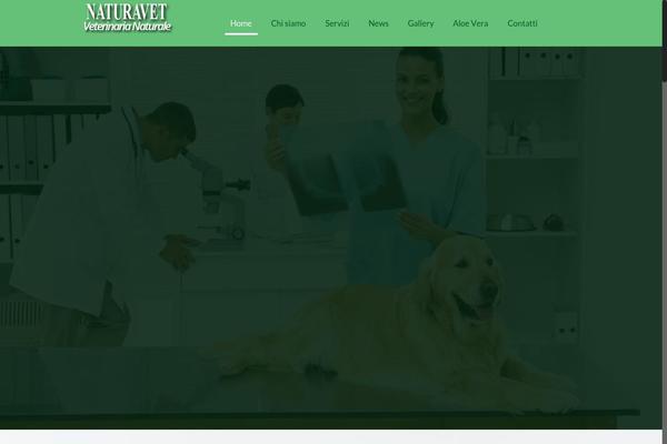 Site using Rocket-lazy-load plugin