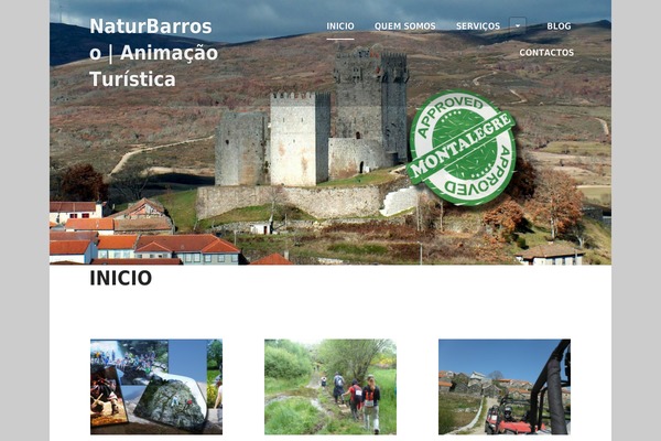 Edin theme site design template sample