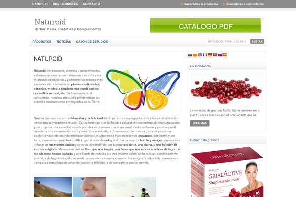 Wp Clear321 theme site design template sample