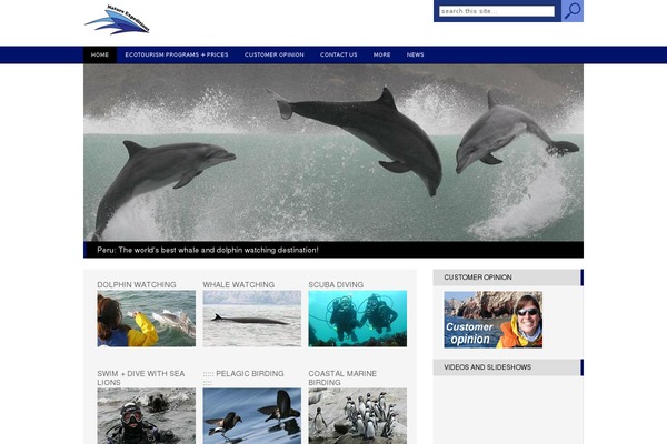 Republica theme site design template sample