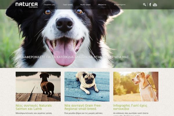 Site using Ductile Responsive Video plugin