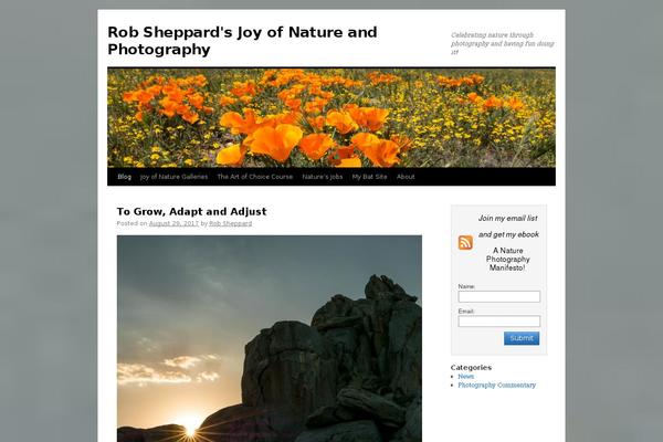 Twenty Ten theme site design template sample