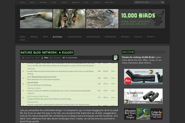 Crumble Magazine theme site design template sample
