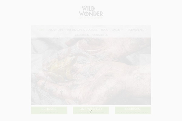 Socha theme site design template sample
