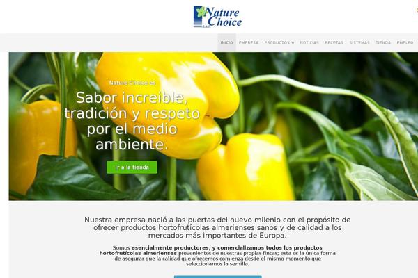 HTML5 Blank theme site design template sample