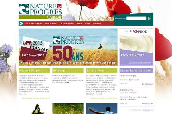 Np theme site design template sample