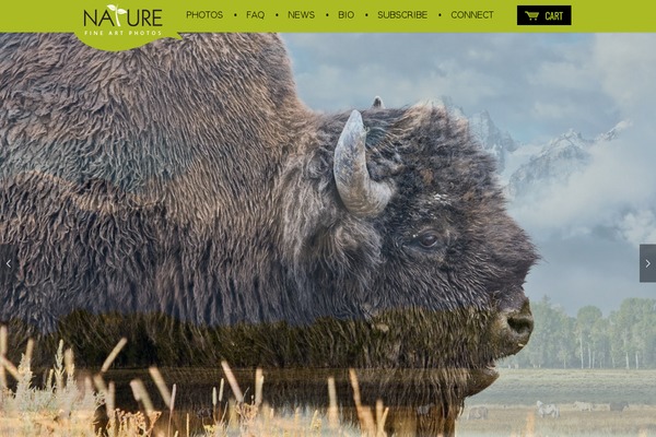 zoo theme site design template sample