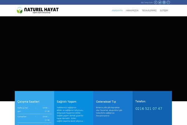 Medical-clinic theme site design template sample
