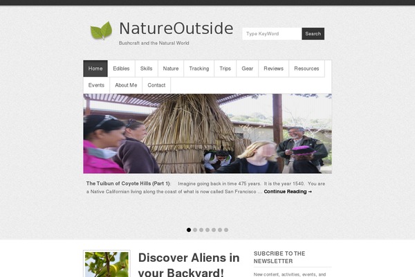 Simple Catch Pro theme site design template sample