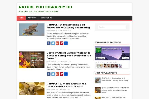 MH Magazine lite theme site design template sample