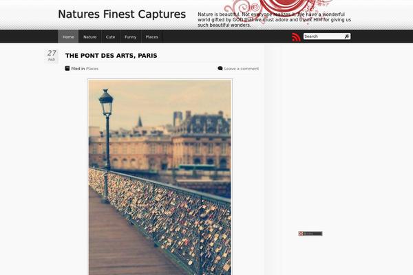 Mflat theme site design template sample