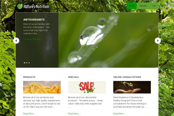 Nn theme site design template sample