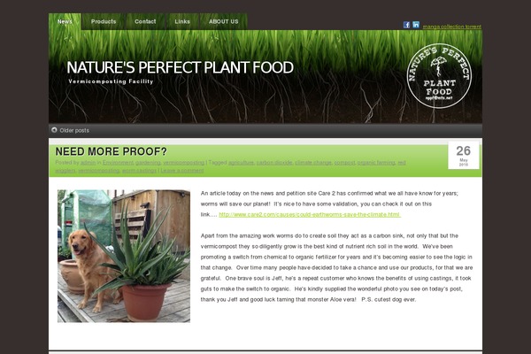Clear Style theme site design template sample