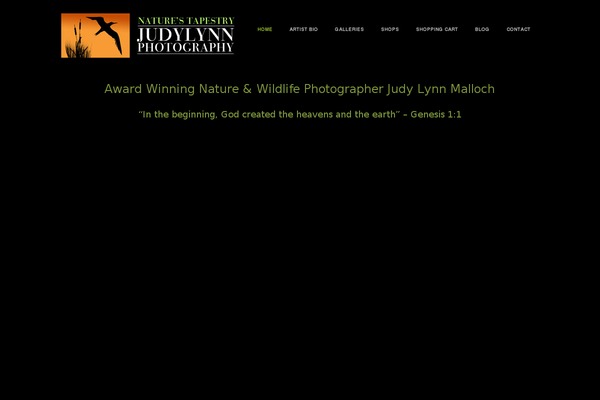 Site using Aspen-footer-editor plugin