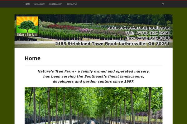 Stargazer theme site design template sample
