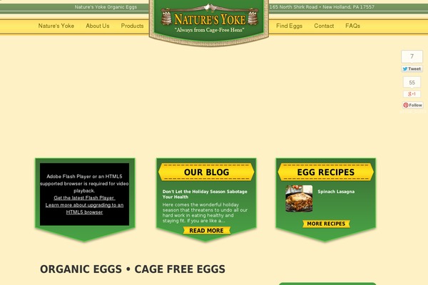 Page Builder Framework theme site design template sample