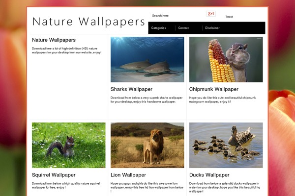Paragrams theme site design template sample