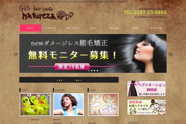 Beauty_tcd054 theme site design template sample