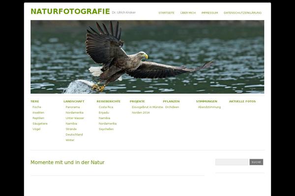 yoko-child-theme WordPress theme, websites list used yoko-child-theme theme yoko-child-theme theme websites examples